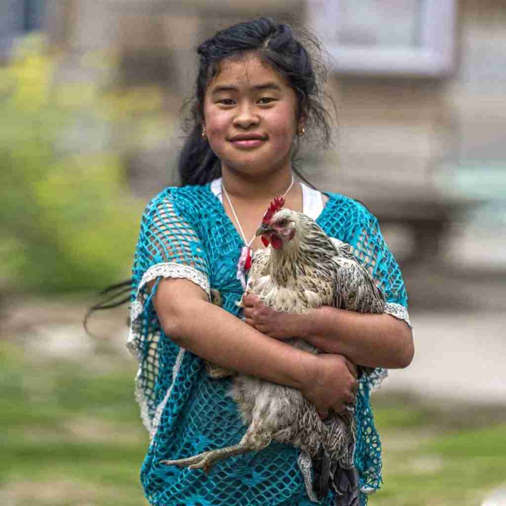 A girl with a chicken she received as a Christmas gift.