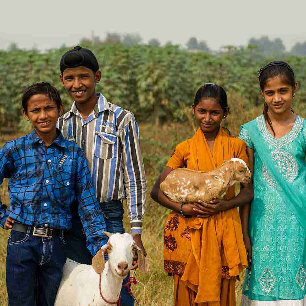 Income-generating gifts like these goats empower families to break the poverty mentality and escape the poverty cycle