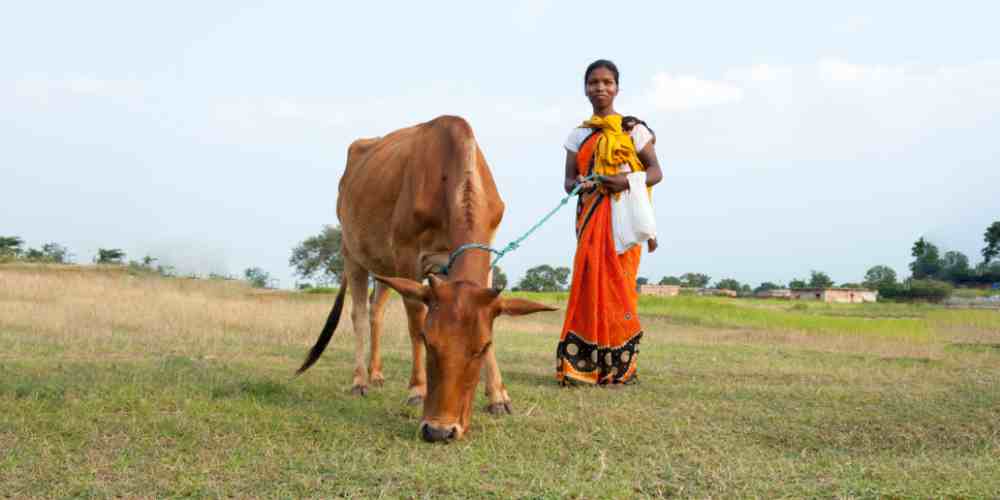 Woman received an income generating gift of a cow, a solution to the poverty cycle.