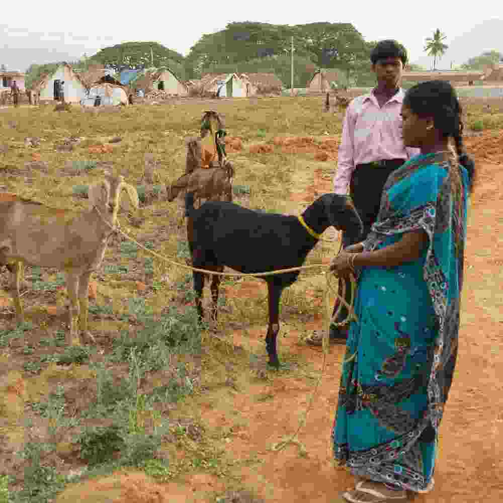 This woman received income generating gifts of goats through GFA World gift distribution