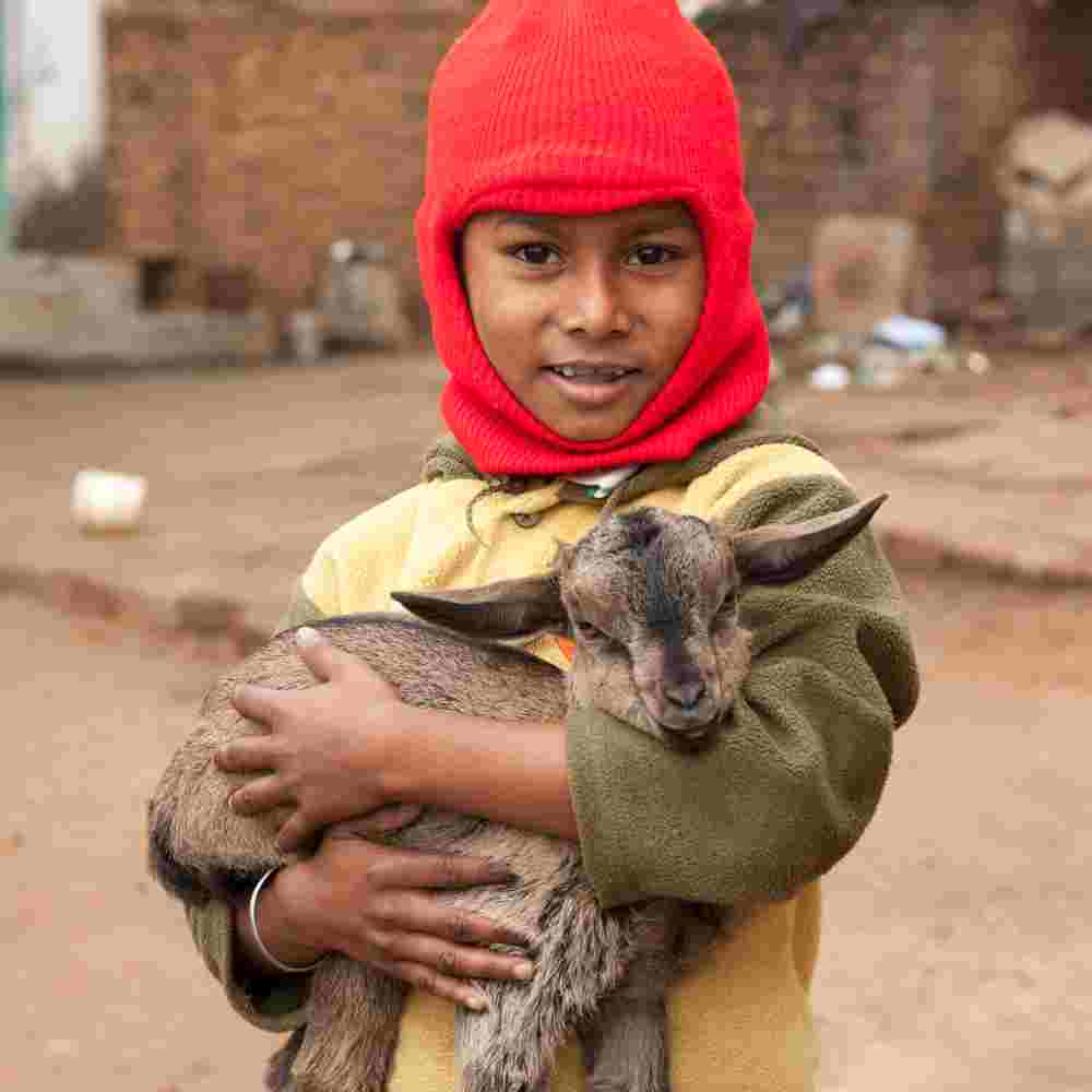 A young boy holding an income generating gift of a goat received through GFA World gift distribution