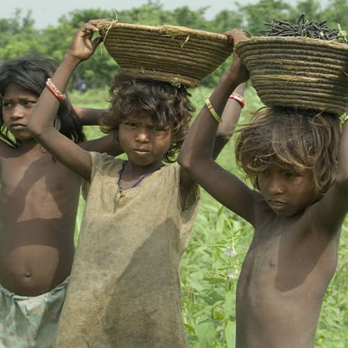 Young children in child labor in the fields