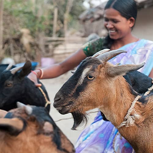 Raylea received income generating gifts of goats through GFA World