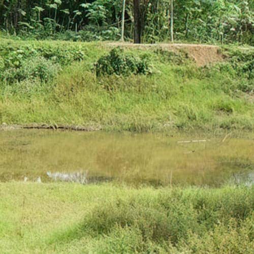 Contaminated water source near Salil's village