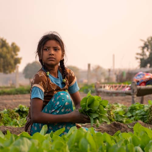 A young girl in child labor in a farm in South Asia