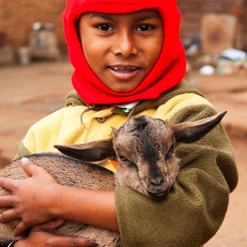 GFA World (Gospel for Asia) brings poverty alleviation to children and their families through income generating gifts like goats