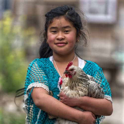 GFA World (Gospel for Asia) is giving children hope through income generating gifts like a pair of chickens