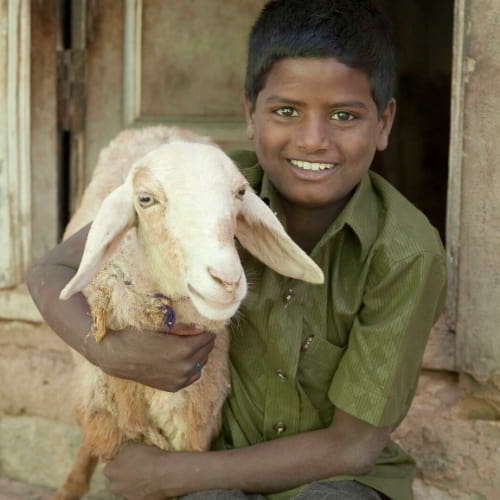 Young boy and an income generating goat from GFA World gift distribution