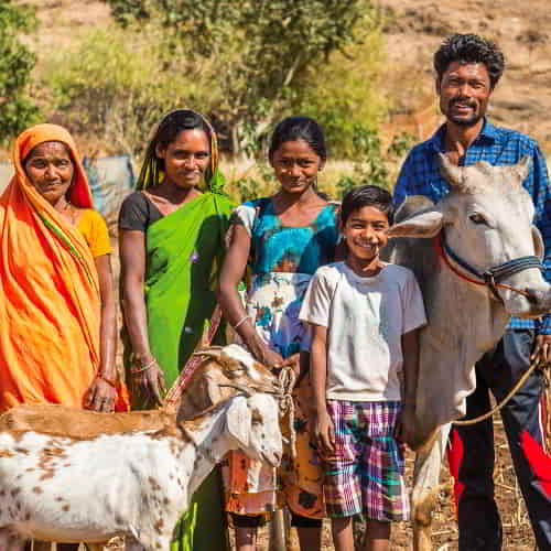 How to break the cycle of poverty? GFA World answers with income generating gifts like these farm animals.