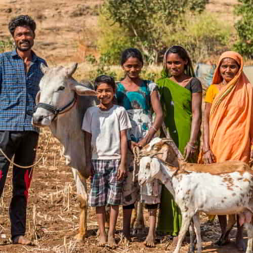 Taden and his family can escape the cycle of poverty through GFA World income generating gifts of farm animals