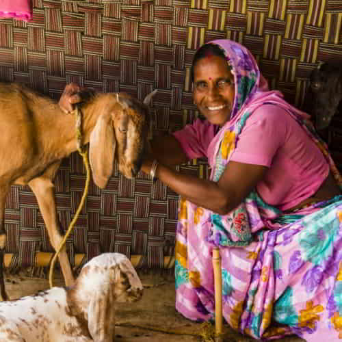 Woman in poverty received income generating animals of goats through GFA World gift distribution