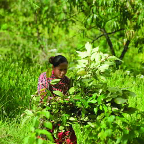 Woman in poverty working 