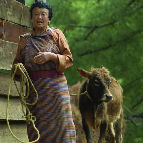 Woman with an income-generating farm animal