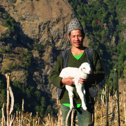 Income-generating farm animals through GFA World help families achieve self-sufficiency