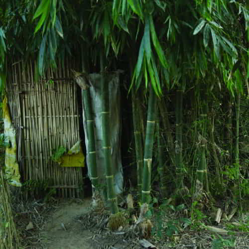 Outdoor sanitation facility in a remote community in South Asia