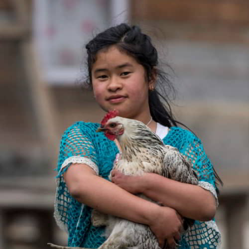 Sweatshop kids child labor can be prevented through income generating gifts like chickens through GFA World