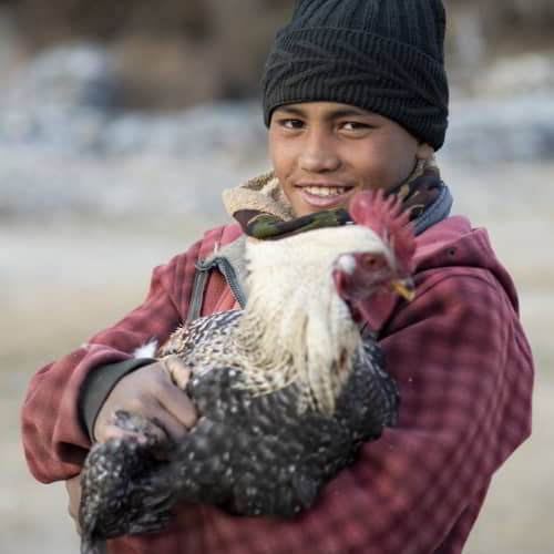 GFA World provides child labor solutions through income generating gifts like farm animals