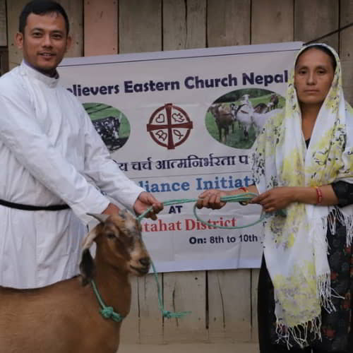 GFA World income generating gift distribution - farm animals - goat