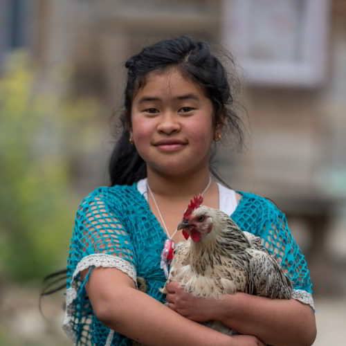 Child received from GFA World an income generating animal of a chicken