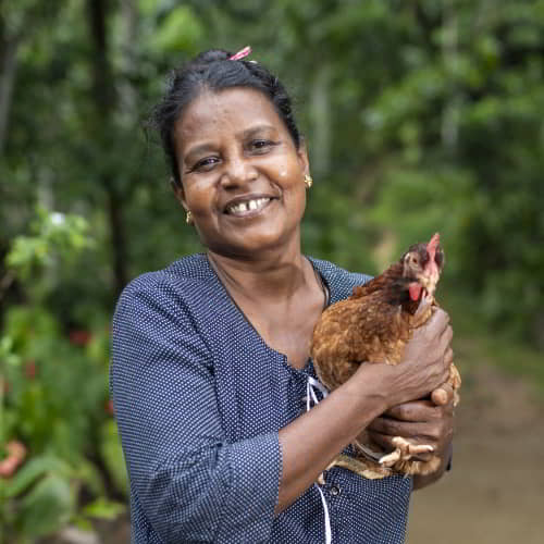 GFA World income generating gifts like chickens can help end poverty for many families in Asia