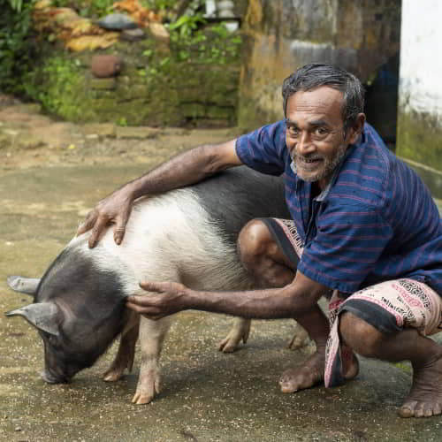 Man received an income generating gift of a pig through GFA World Christmas catalog