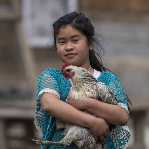 GFA World income generating gifts like farm animals help break the cycle of poverty