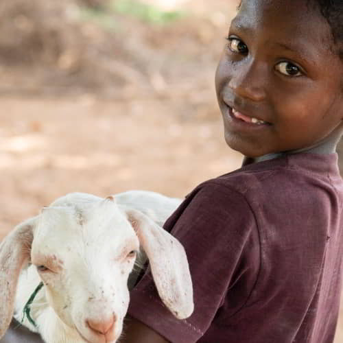 GFA World is giving children hope through income generating gifts like goats