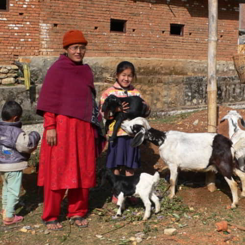GFA World income generating gifts of goats is one of the solutions to extreme poverty