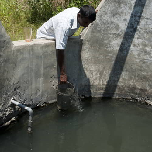 Man fetching dirty water using a bucket