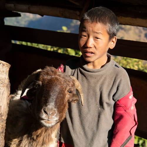 Young boy and an income generating gift of a goat