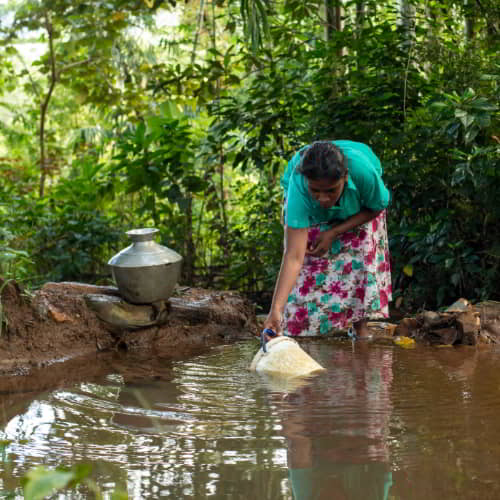 Woman collect impure water from open water source