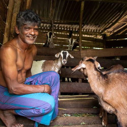 How to break the cycle of poverty? Through GFA World income generating gifts like goats.