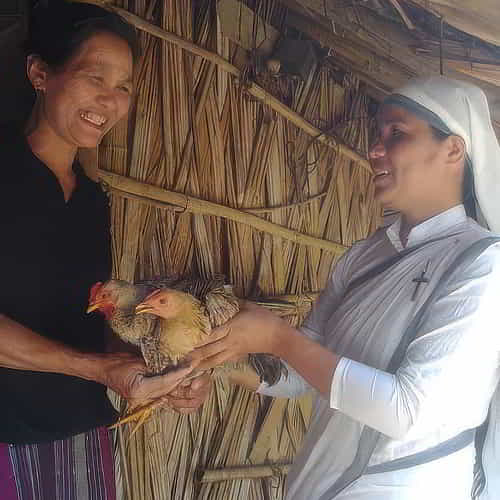 Donate a chicken and help families gain a source of income