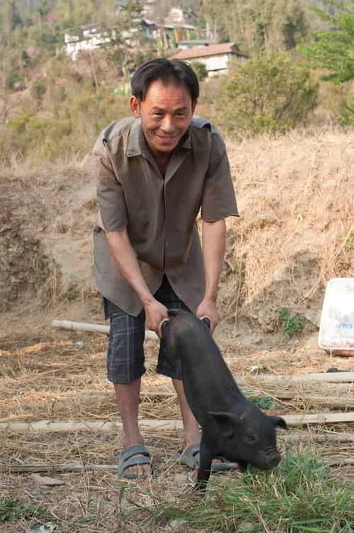 Man received income generating pigs through the support of Christian missionaries of GFA World