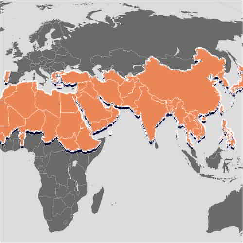 Where are Christian missionaries needed most? In the 10 40 window