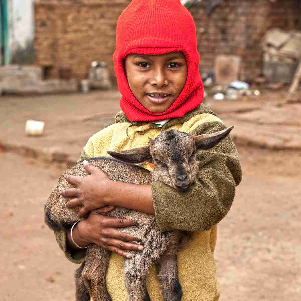 This boy's family received income providing goats from gift distribution