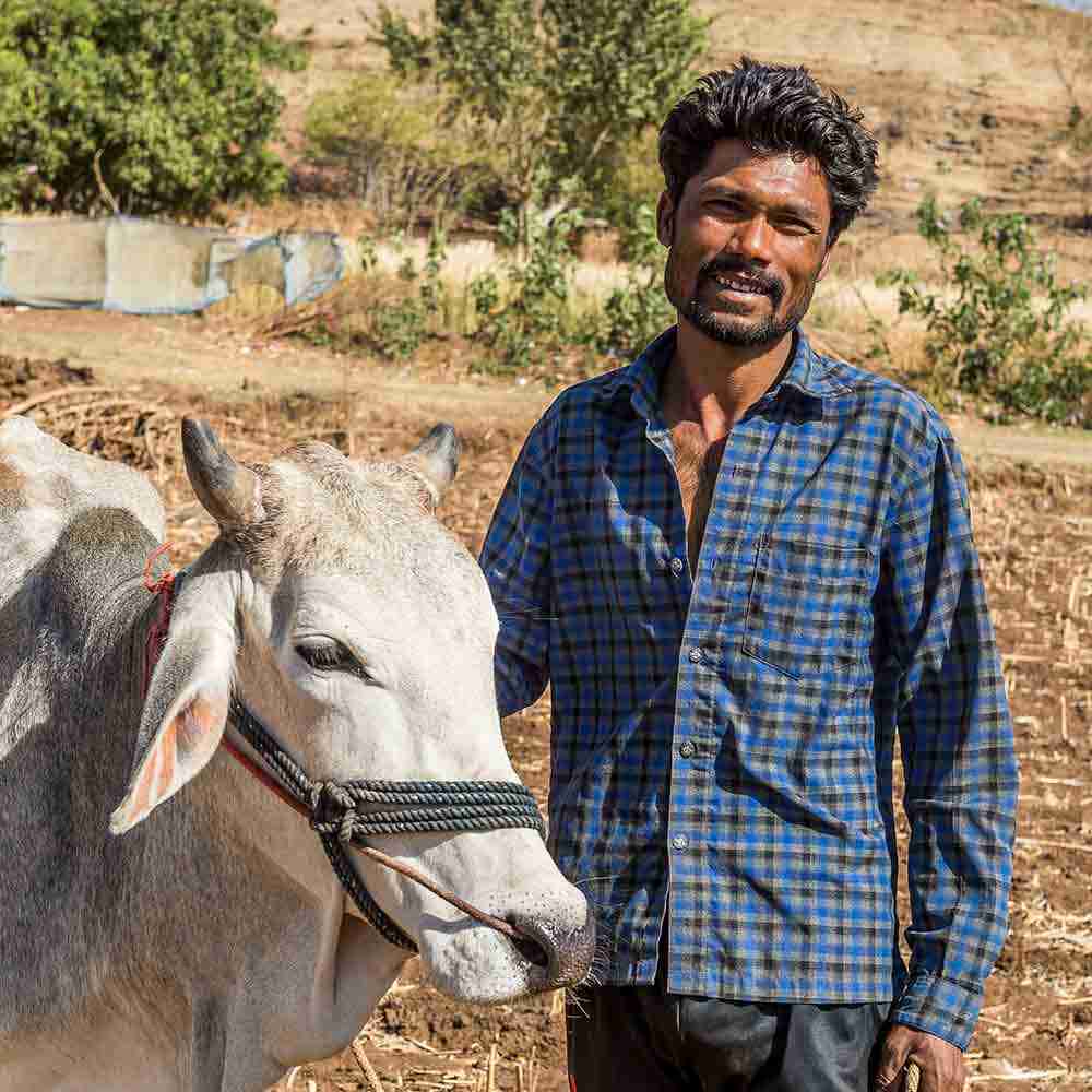 Income-generating gifts, like the gift of cows, enable families to earn sufficient income for breaking the cycle of poverty