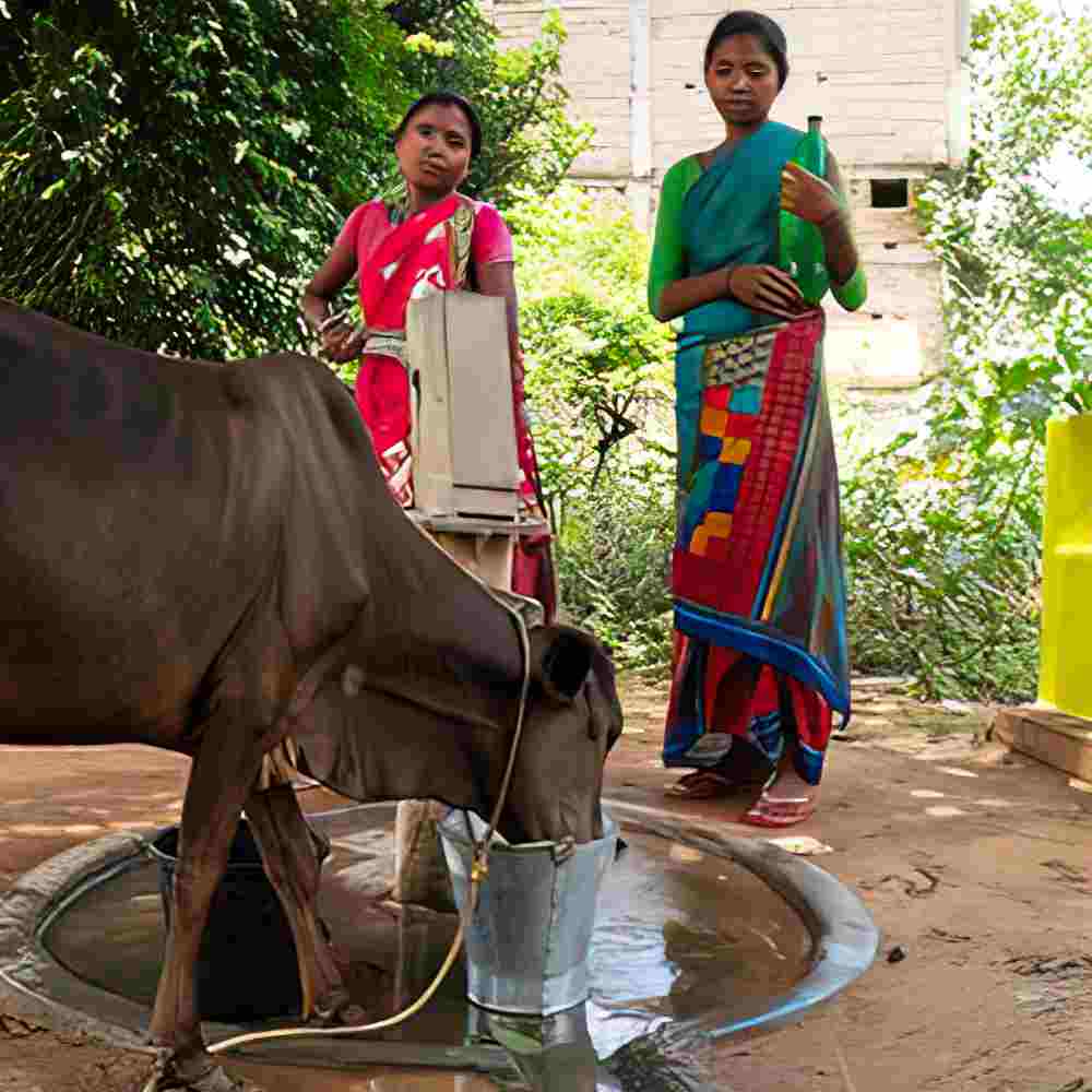 Suhana visits with a neighbor while she gives her cow a drink of water at the Jesus Well. This well, located a stone’s throw from Suhana’s home, was constructed shortly before she arrived in the village as a young wife.