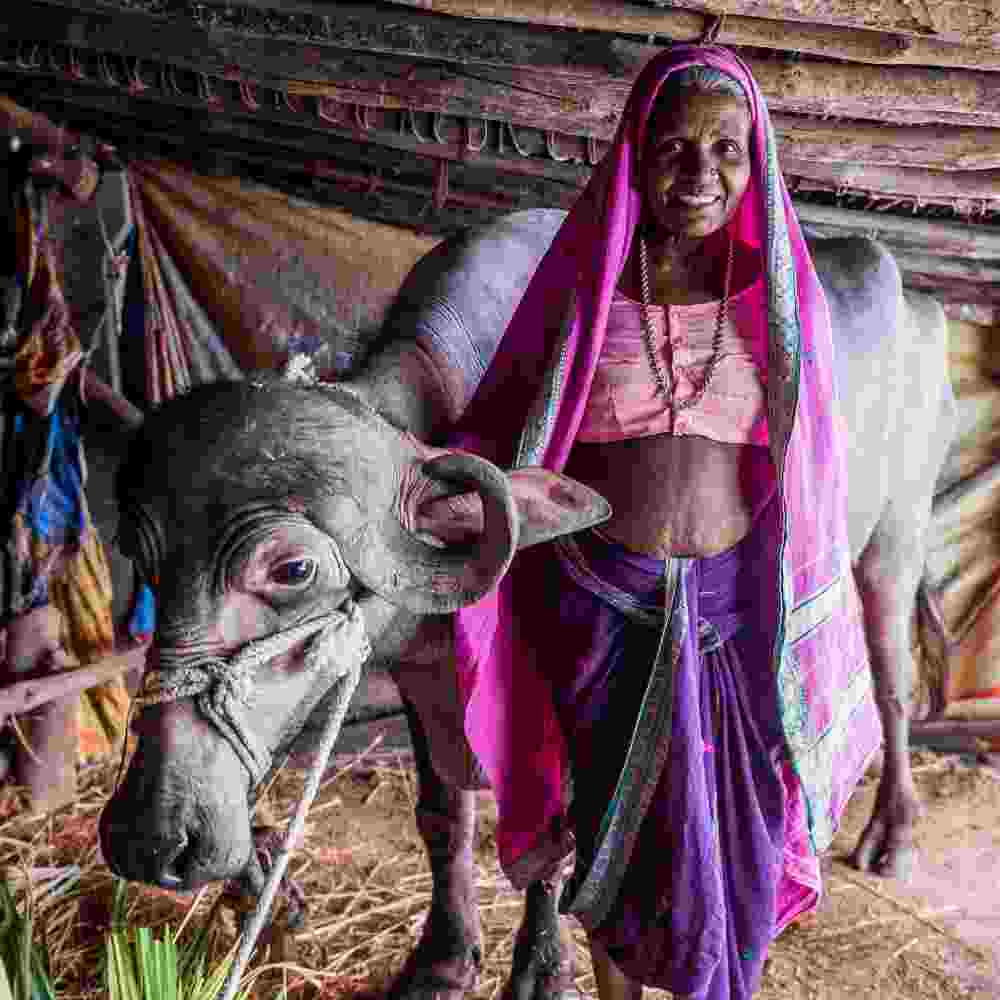 This woman received an income generating gift of a cow, a solution to the extreme poverty of her family