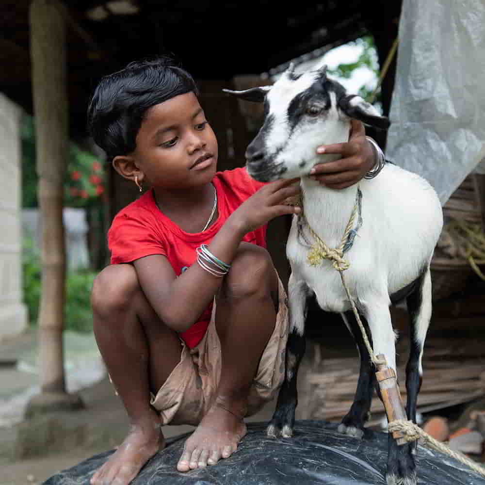 Income generating gift of a goat prevents child labor for this girls family