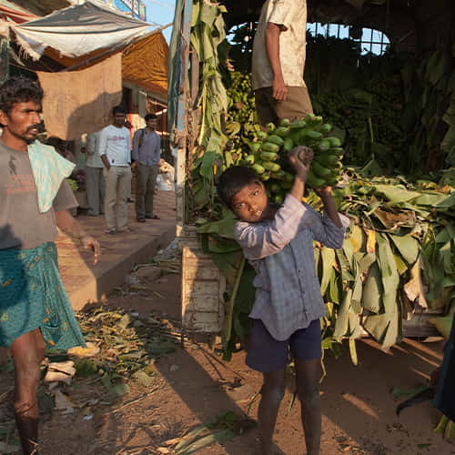 A child labor victim from South Asia transporting bananas