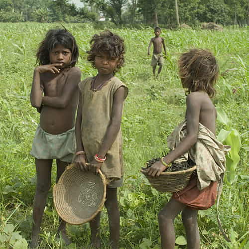 Group of young children in child labor in the fields