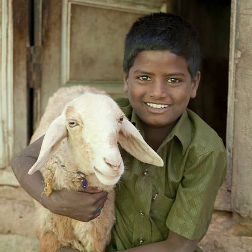 Boy and his family received income generating gift of a goat through GFA World gift distribution