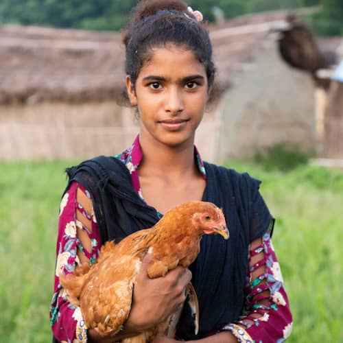 Children and their families can escape poverty through GFA World income generating gifts like a pair of chickens