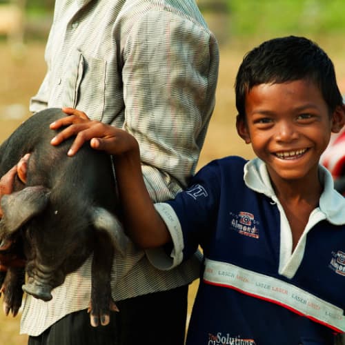 Young boy and an income generating gift of a pig from GFA World (Gospel for Asia) gift distribution
