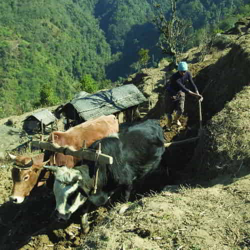 Nepal's rough mountain trails in small villages, which can take days to reach